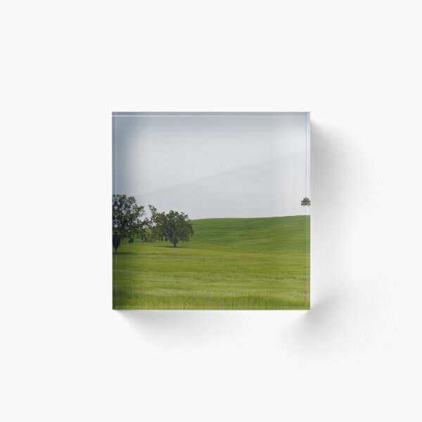 Aperçu de l'œuvre California Hills créée et vendue par lizzychase.