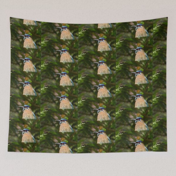 Item preview, Blue-crowned Motmot designed and sold by Carole-Anne.