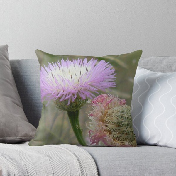 Item preview, Old and New Star Thistle designed and sold by Navigator.