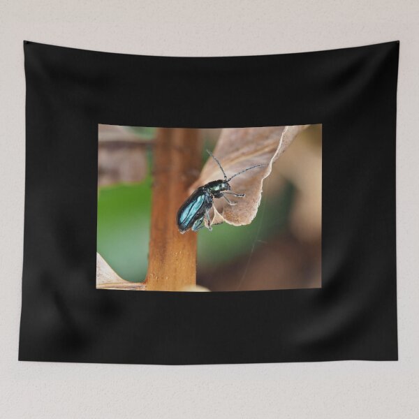 Item preview, Altica sp. beetle on a dried plant designed and sold by SDym Photography.