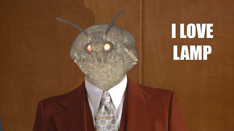 comedy. moths love lamps. light. i love lamp. meme. moth. lamp. joke. 