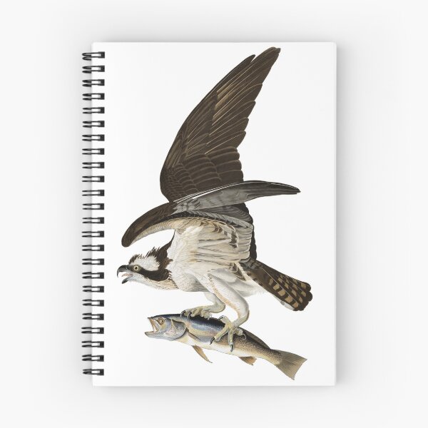 Item preview, Osprey - Fish Hawk  John James Audubon designed and sold by Lowtech.