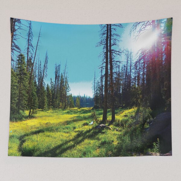 Item preview, Forest Sun by Jerald Simon (Music Motivation - musicmotivation.com) designed and sold by jeraldsimon.