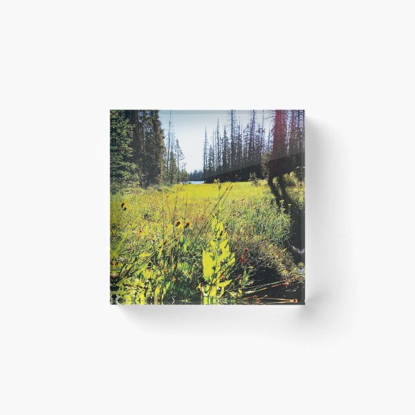 Item preview, Forest Flowers by Jerald Simon (Music Motivation - musicmotivation.com) designed and sold by jeraldsimon.