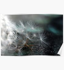 Dandelion Whispers Poster