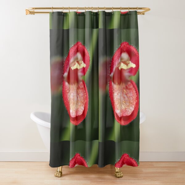 Baja bush snapdragon flower Shower Curtain