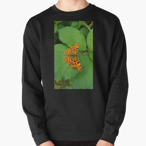 Comma Butterfly Pullover Sweatshirt
