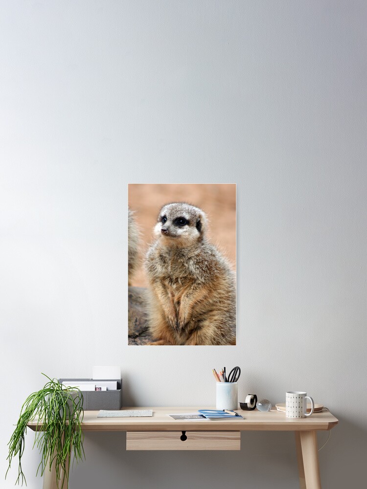 Thumbnail 2 of 3, Poster, Meerkat designed and sold by Enginekid.
