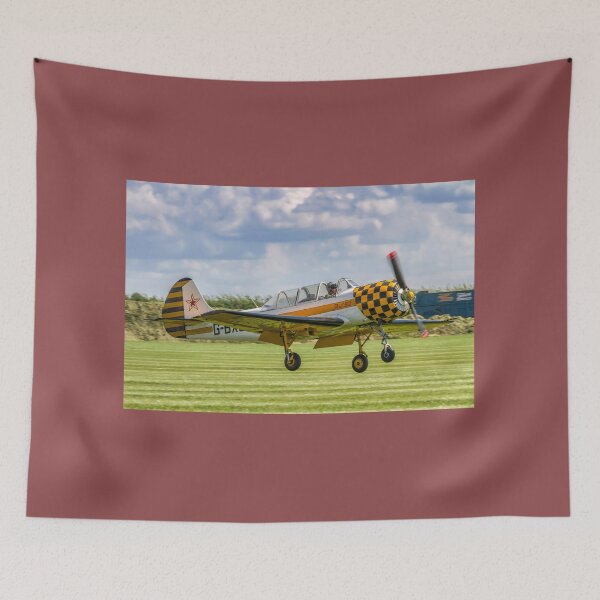 Item preview, Aerostar Iak-52 G-BXJB designed and sold by Colin Smedley.