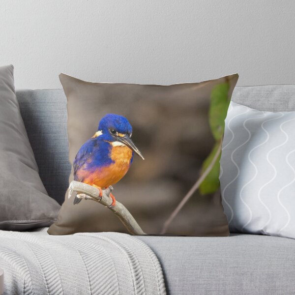 Azure Kingfisher, Kakadu National Park Throw Pillow