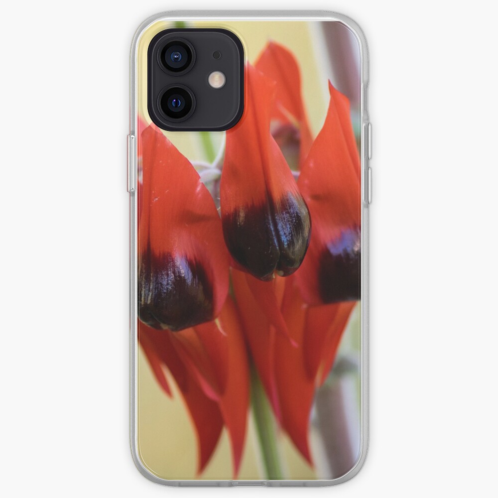 Sturt's Desert Pea, Alice Springs iPhone Case & Cover