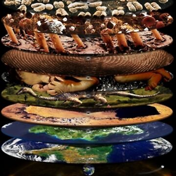 Artwork thumbnail, Universal Magnification (version with no text) by Pablo Carlos Budassi
