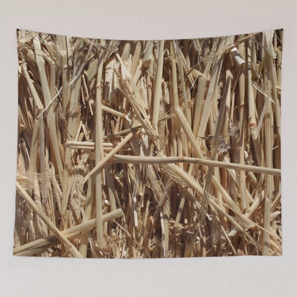 Item preview, Hay 1 designed and sold by Logan McCarthy.