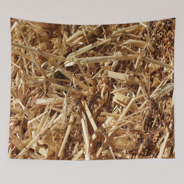 Item preview, Hay 4 designed and sold by Logan McCarthy.