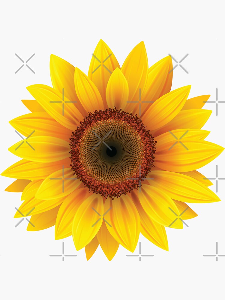 Cool Sunflower by lowpressures