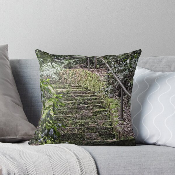 Item preview, Walk through the Rainforest at the Australian National Botanical Garden designed and sold by Wolf Sverak Photography.