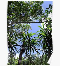 LUSH Poster
