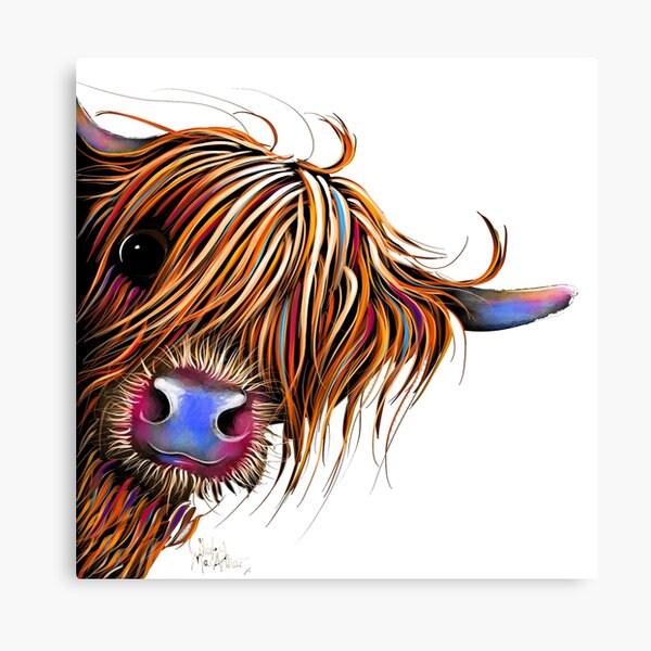HiGHLaND CoW PRiNT SCoTTiSH ' SuGaR LuMP ' BY SHiRLeY MacARTHuR Canvas Print