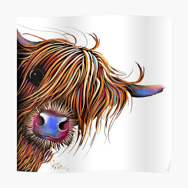 HiGHLaND CoW PRiNT SCoTTiSH ' SuGaR LuMP ' BY SHiRLeY MacARTHuR Poster