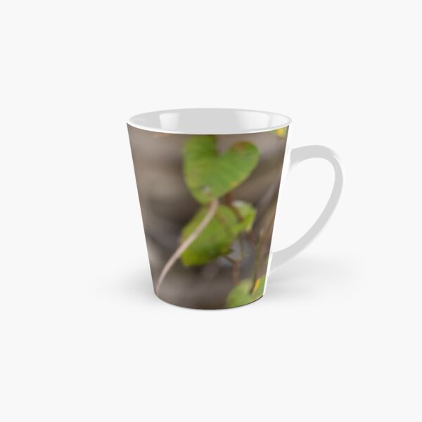 Azure Kingfisher, Kakadu National Park Tall Mug