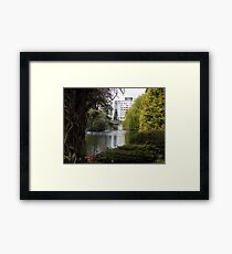 Beautiful View Framed Print