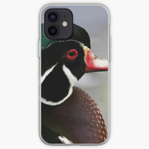 Drake Waterfowl iPhone cases & covers | Redbubble