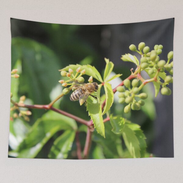 Item preview, Photo Close-up of a leaf with a bee designed and sold by PM-Artistic.