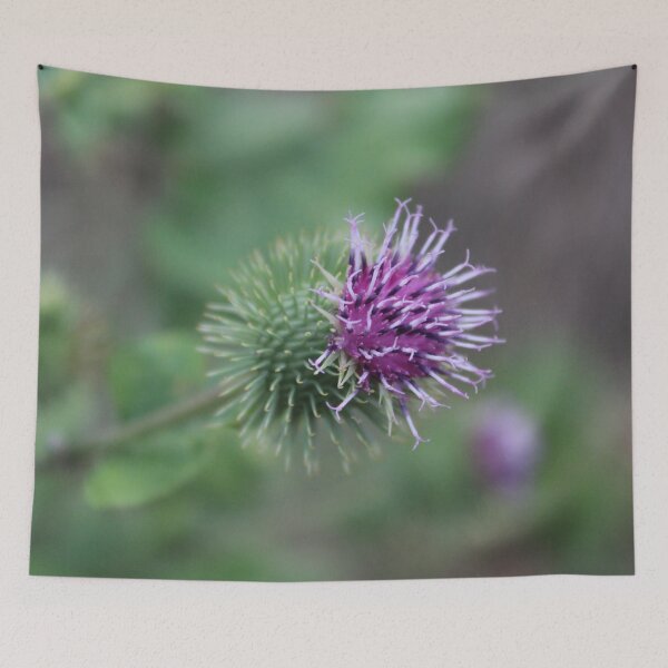 Item preview, Photo Close-up of a blossoming burdock flower designed and sold by PM-Artistic.