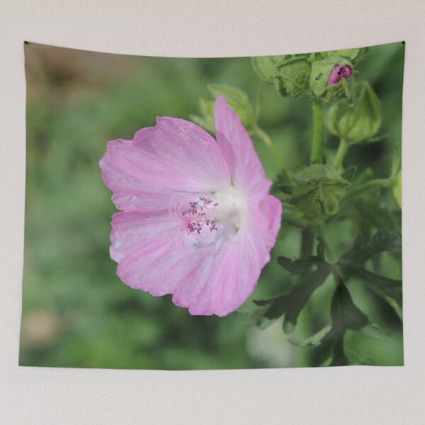 Item preview, Photography Close-up of a pink flower designed and sold by PM-Artistic.