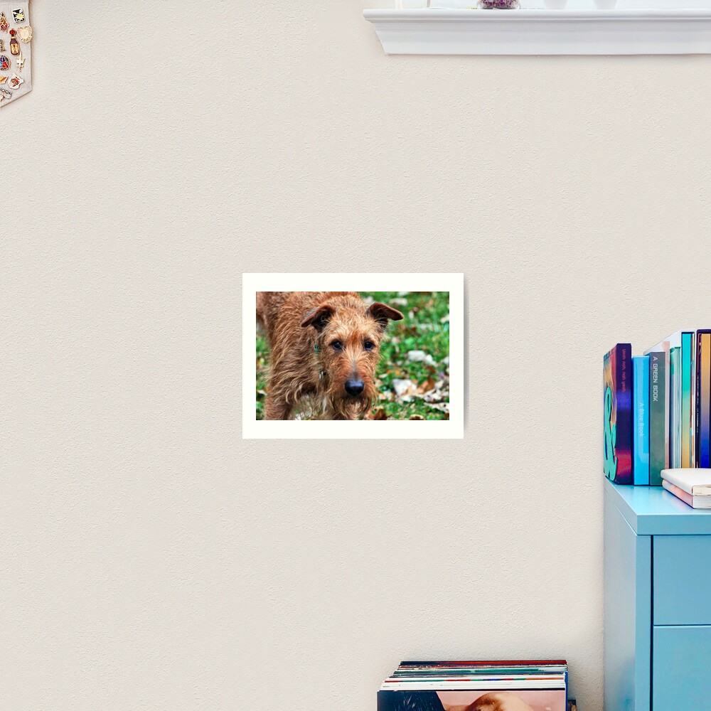 Item preview, Art Print designed and sold by cdudak.