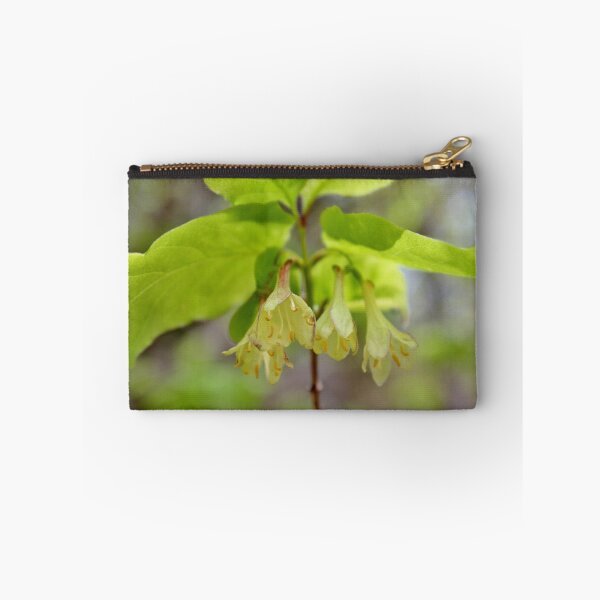 Item preview, Canadian Fly Honeysuckle II designed and sold by Kathleen Daley.