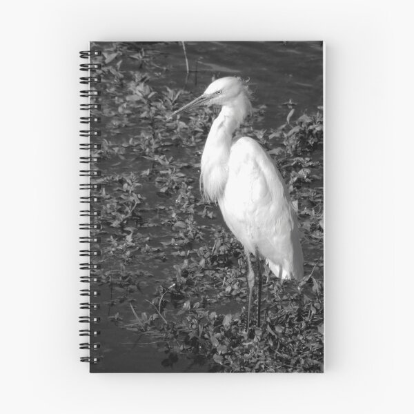 Item preview, In the Shallows designed and sold by Robert Ball.