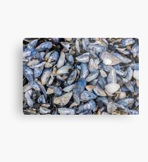 Mussel Beach Metal Print