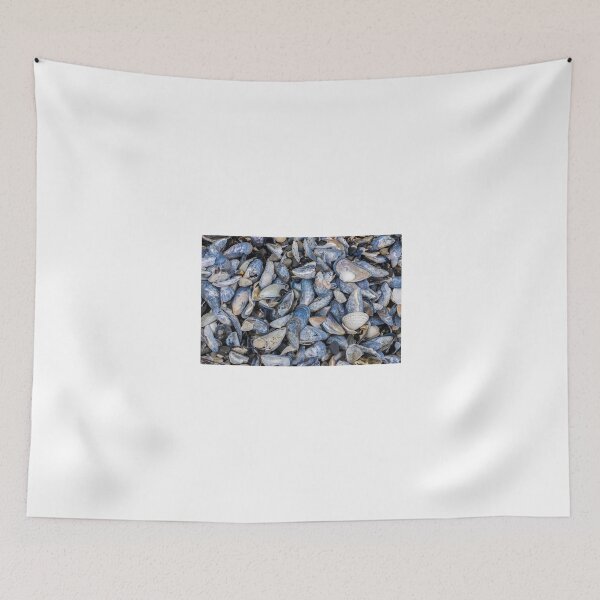 Item preview, Mussel Beach designed and sold by Nigel R Bell Photography.