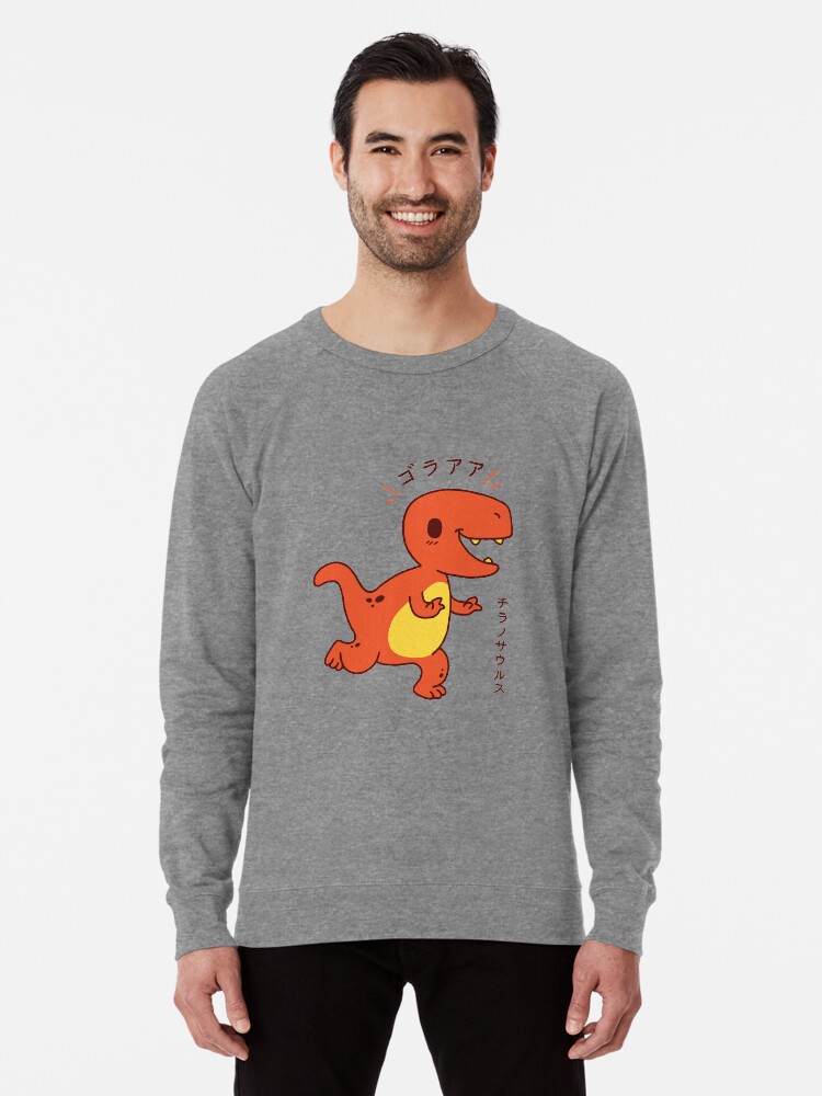 Dinosaur Animals Mens Raglan Sleeve Hoodie Cute Boys Raglan Hoodie