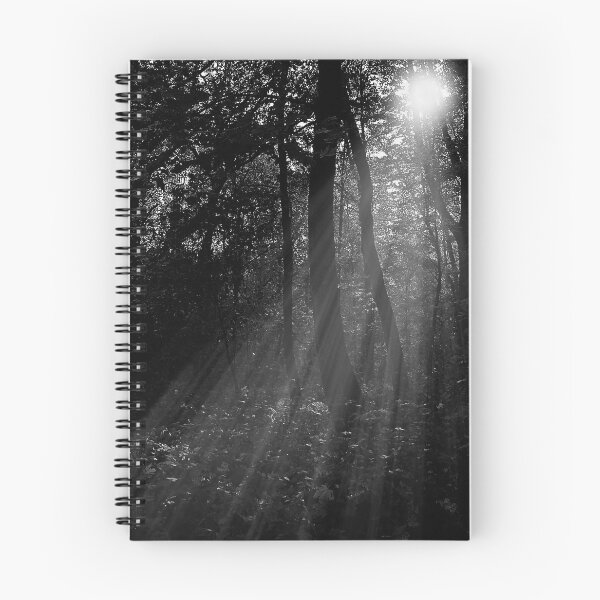 Item preview, Last Light  designed and sold by Denise Abé.