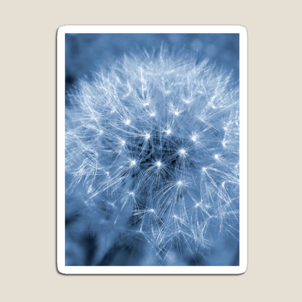 Blue Dandelion Magnet