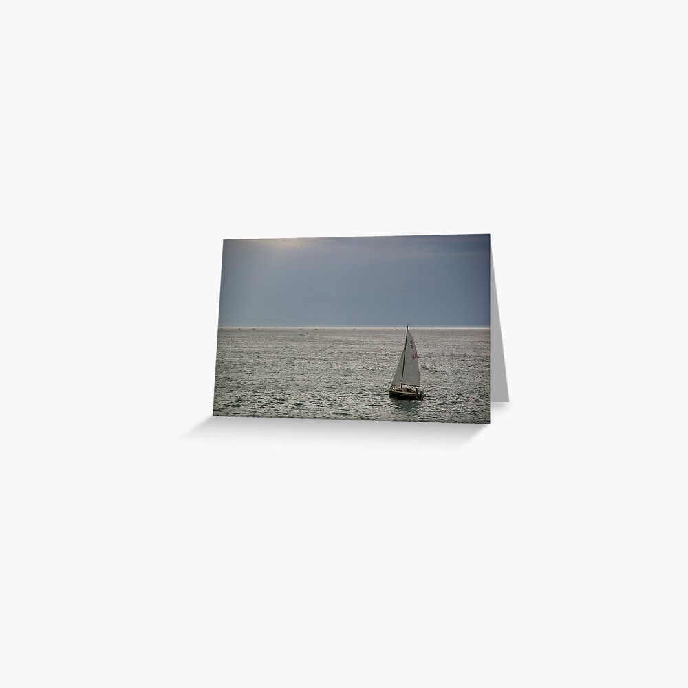 Into the Bay Greeting Card