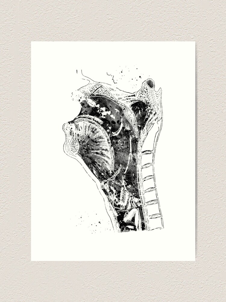 "Anatomy head and neck" Art Print by erzebetth | Redbubble