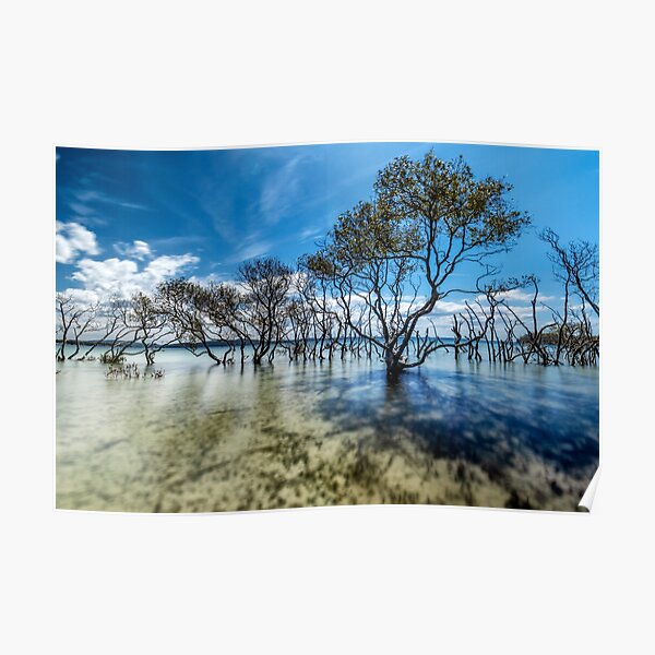Mangrove paradise Poster