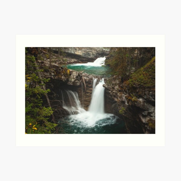 Johnston Creek Art Print