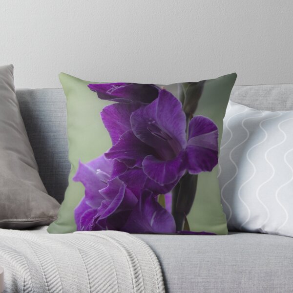 How does velvet feel like? ... ♡‿♡...."Dancing With Tears In My Eyes" . by Andrew (Brown Sugar) . Gladiolus Blue Isle ! Views (848) Super Ok! Fresh !!! Featured ! Throw Pillow
