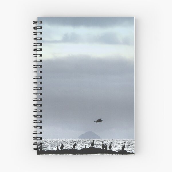 Item preview, Cormorants Heron Ailsa Craig designed and sold by George Crawford.