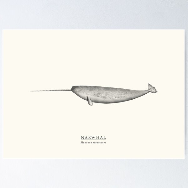 Item preview, Narwhal designed and sold by samlyneill.