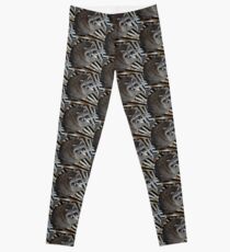 Raccoon Leggings