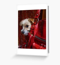 Not an Accessory...! Greeting Card