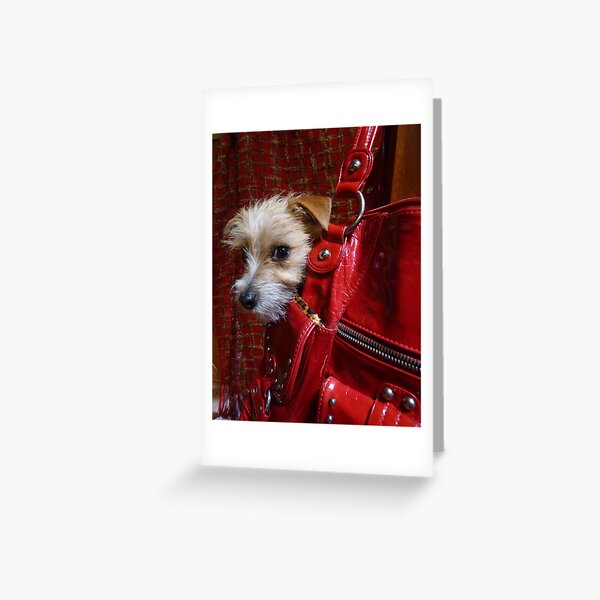 Not an Accessory...! Greeting Card