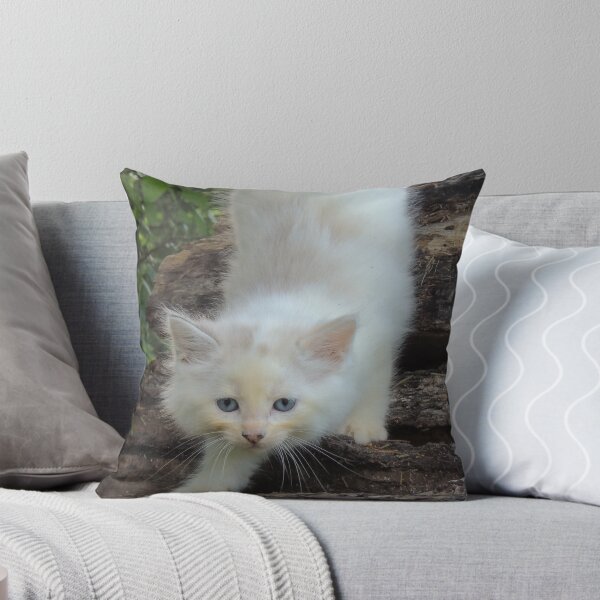 Item preview, The Art of Creeping designed and sold by bannercgtl10.