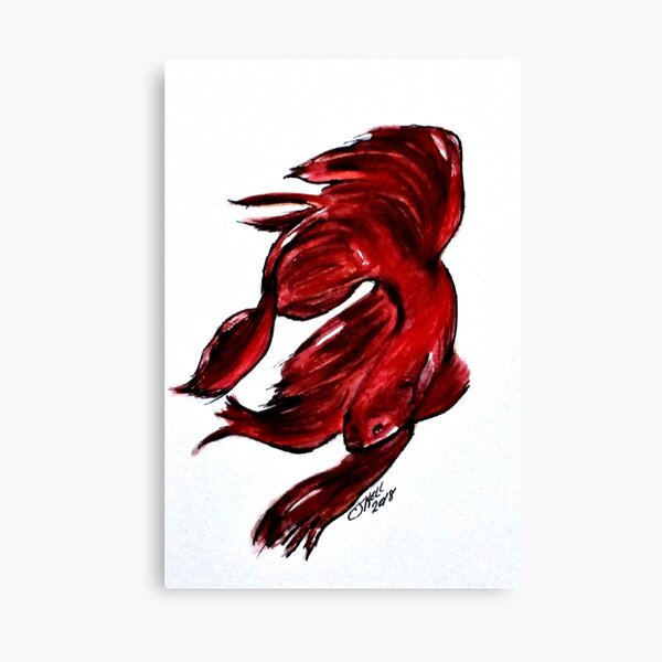 Art Doodle No. 36 Betta Fish Canvas Print