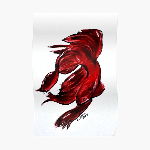 Art Doodle No. 36 Betta Fish Poster